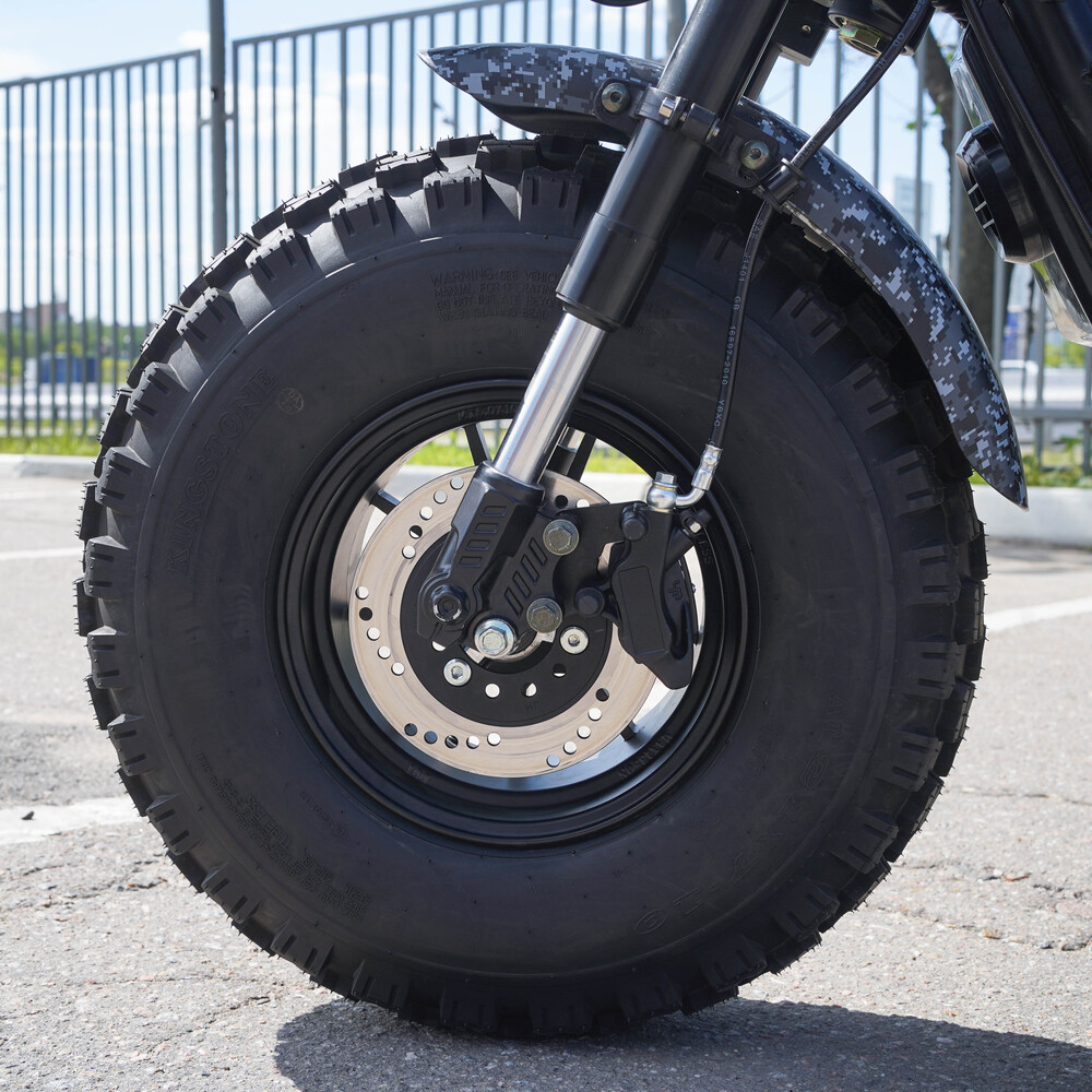 EcoMoto Lion Off-Road E1200W Back Edition купить в Москве - Цена ...